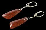 Rich, Red Agatized Dinosaur Bone (Gembone) Earrings #146266-2